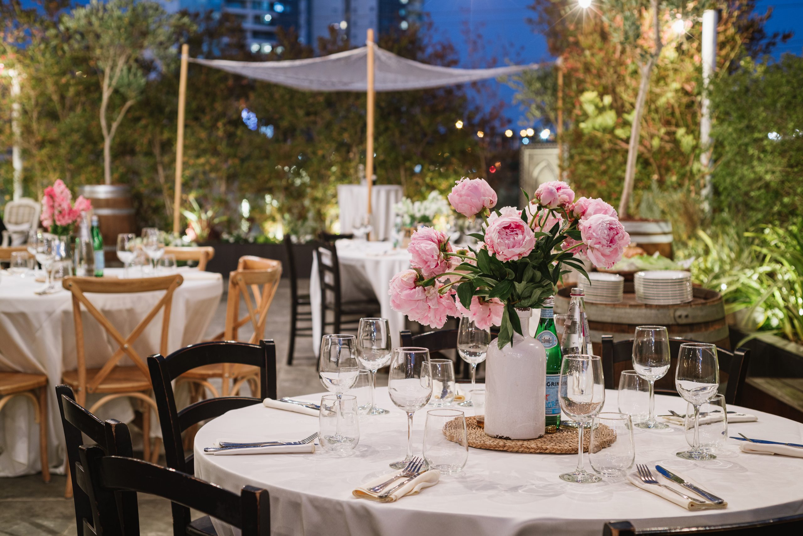 Copy of Copy of Copy of Tosca-by-Dor-Kedmi-101